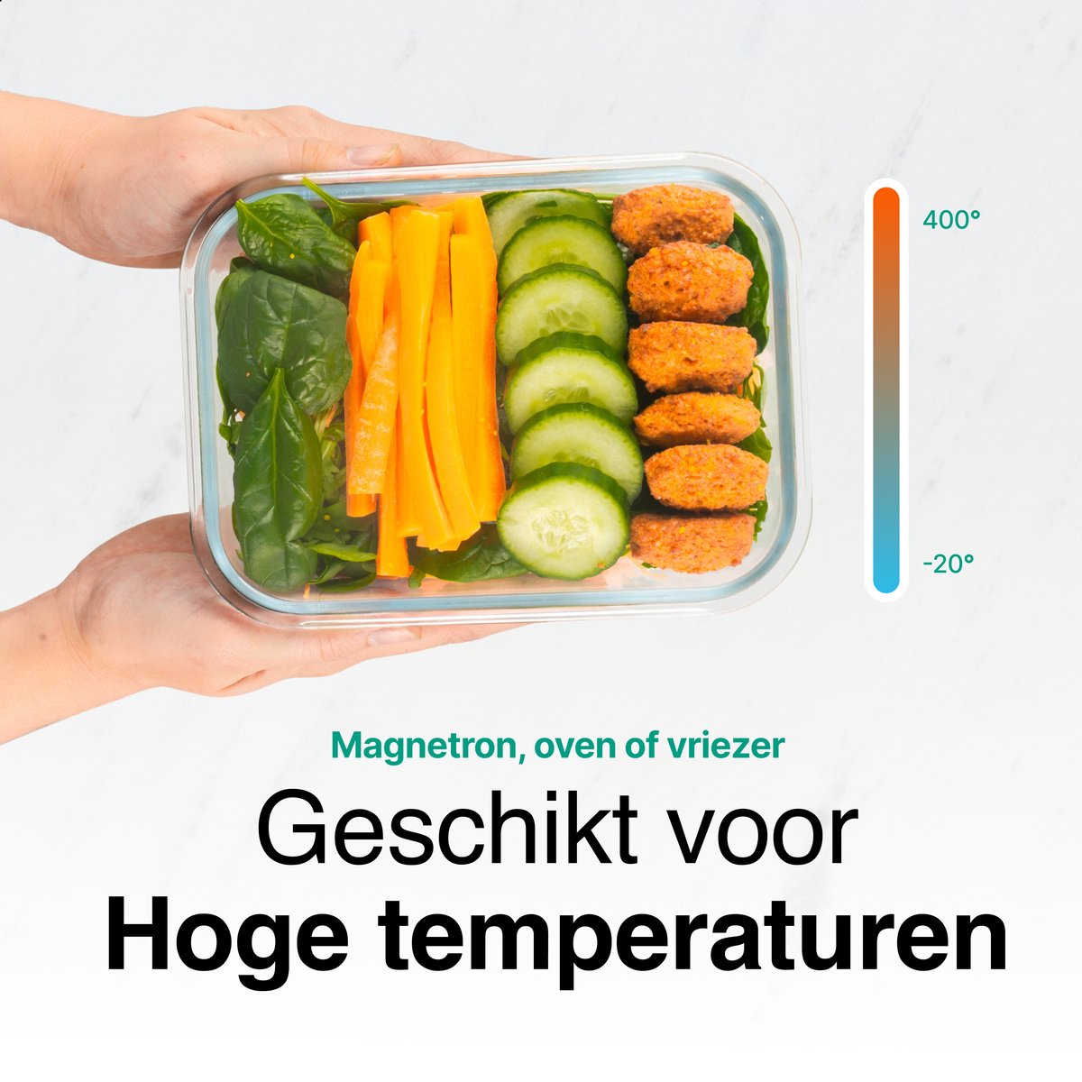 Vershoudbakjes Glas - 6 stuks - Meal Prep Bakjes - Diepvriesbakjes - 1040ml