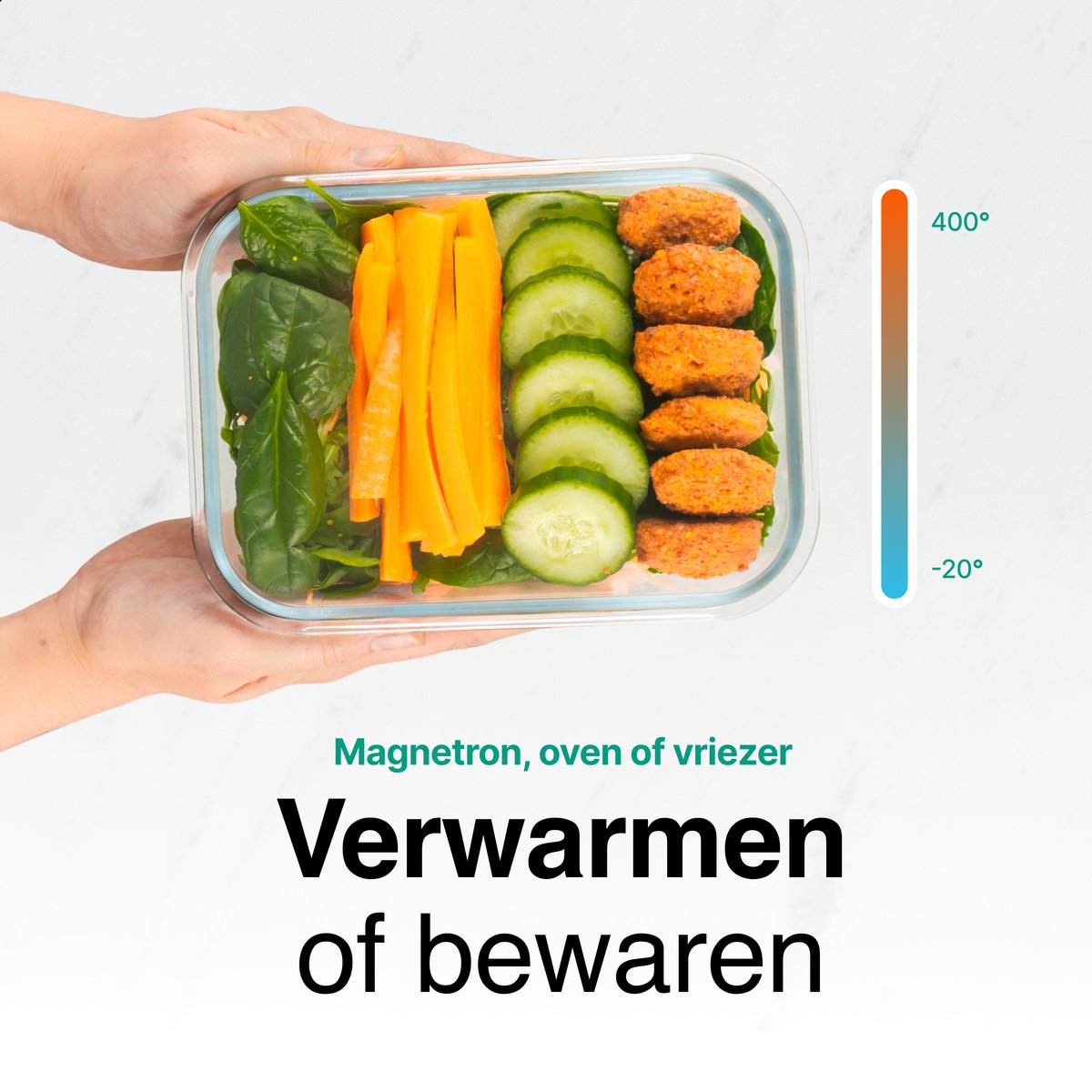 Vershoudbakjes Glas - 6 stuks - Meal Prep Bakjes - Diepvriesbakjes - 1040ml