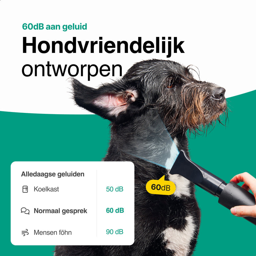 Hondenfohn met geluidsdemper 2800W - Waterblazer hond - Zwart
