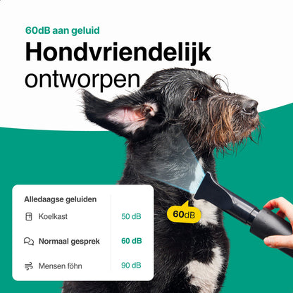 Hondenfohn met geluidsdemper 2800W - Waterblazer hond - Zwart