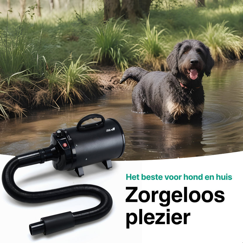 Hondenfohn met geluidsdemper 2800W - Waterblazer hond - Zwart