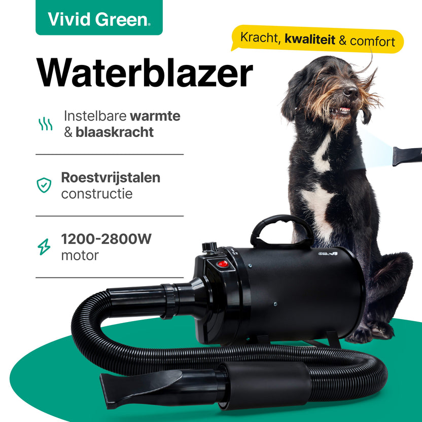 Hondenfohn met geluidsdemper 2800W - Waterblazer hond - Zwart