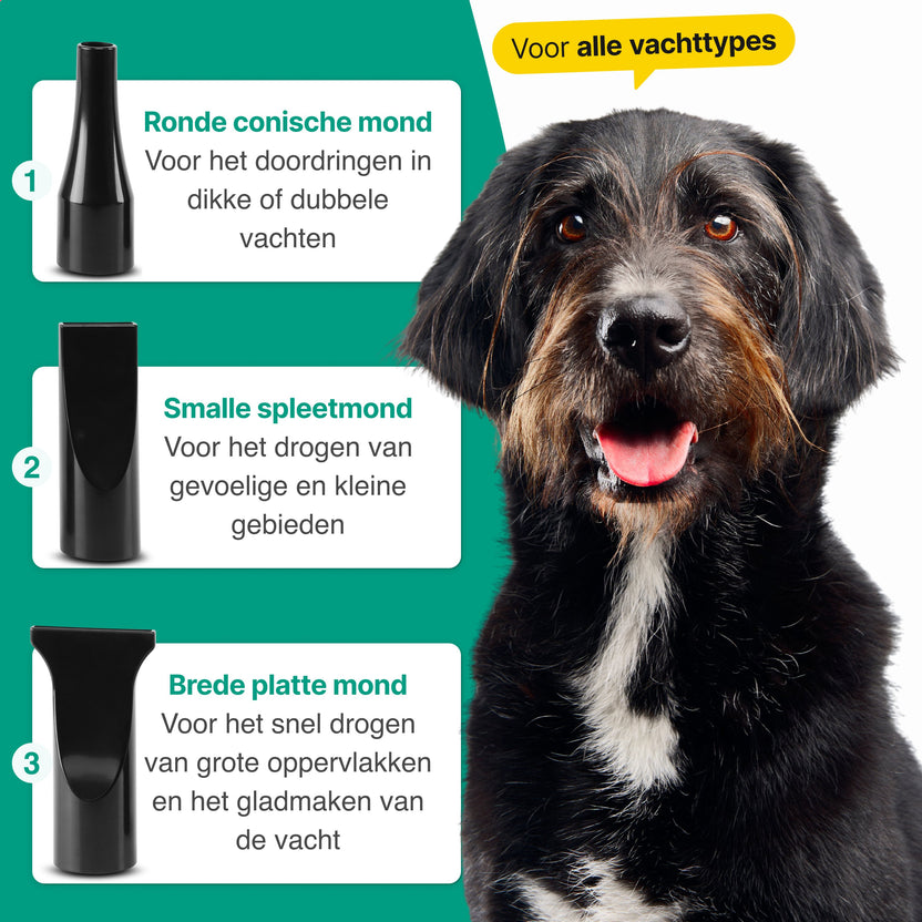 Hondenfohn met geluidsdemper 2800W - Waterblazer hond - Zwart