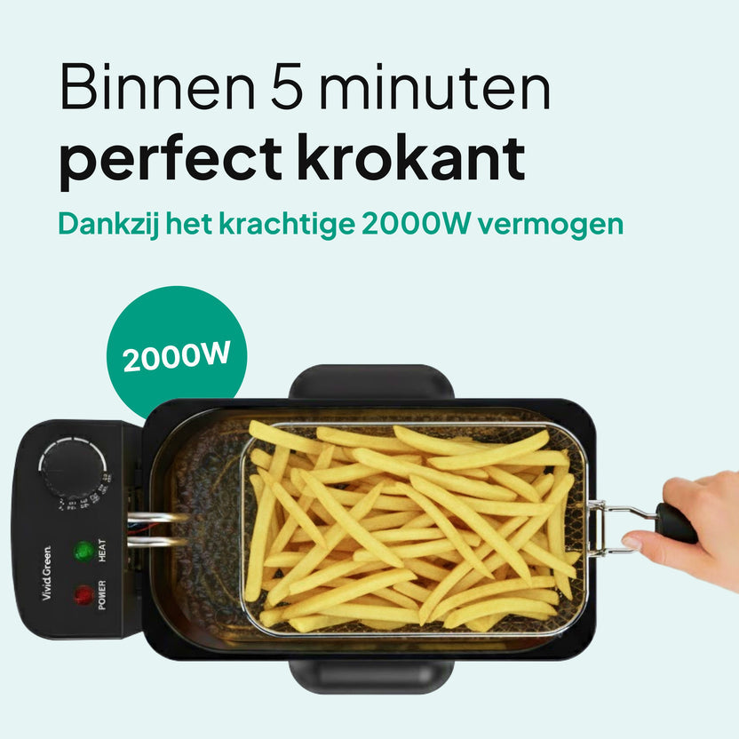Frituurpan - 3 Liter - 2000W - Friteuse - Koude Zone - RVS