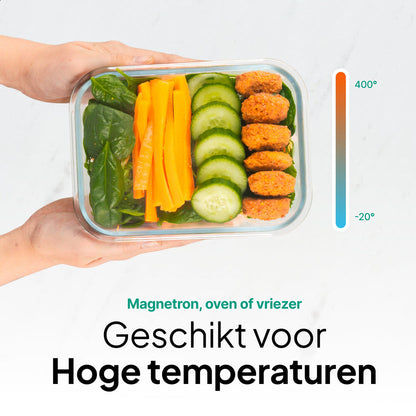 Vershoudbakjes Glas - 10 stuks - Meal Prep Bakjes - Diepvriesbakjes